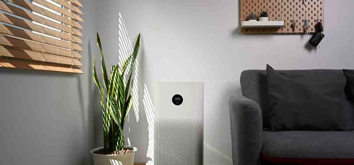 11 Manfaat Air Purifier untuk Kesehatan, Pentingkah Dimiliki? Blog Rey