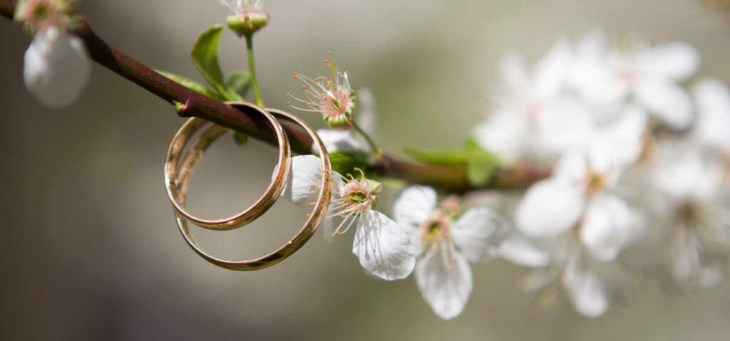 apa arti cincin nikah di jari manis? Cincin nikah dipakai di jari manis menandakan rasa cinta dan kasih.
