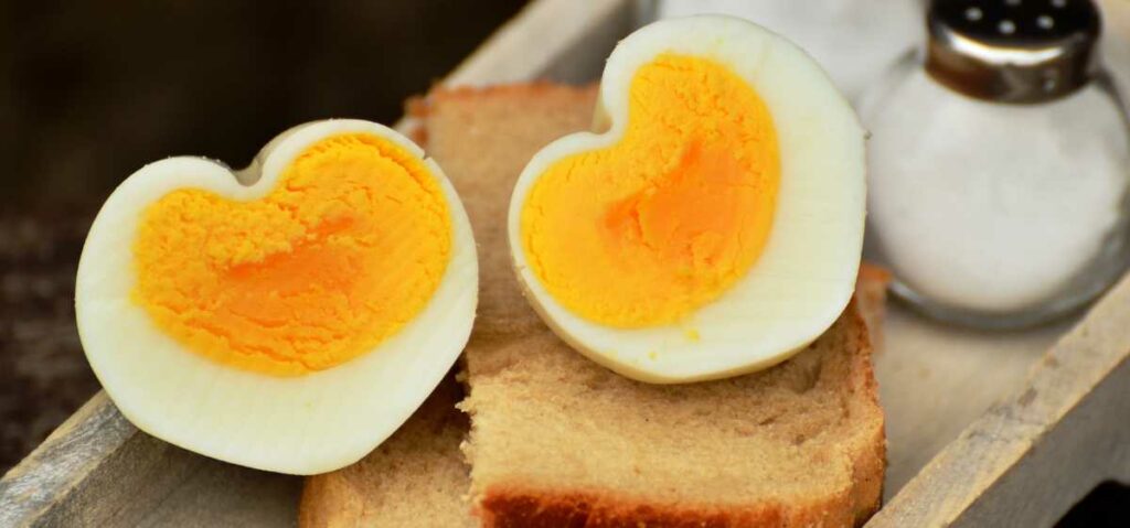 telur memiliki serangkaian nutrisi untuk tubuh kita