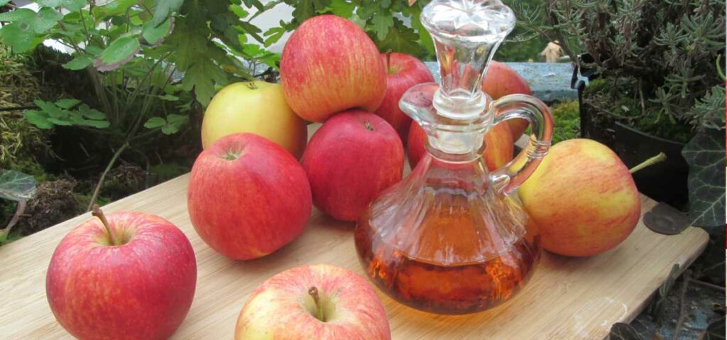 Cuka apel memiliki banyak manfaat dalam menangkal berbagai bakteri dalam tubuh. Tidak mengherankan jika cuka apel bisa kamu temukan sebagai campuran obat tradisional.