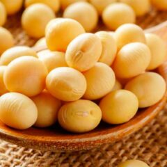 Kaya Protein, 7 Manfaat Kacang Kedelai untuk Kesehatan Tubuh