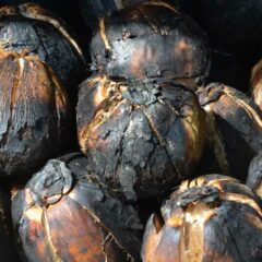 Rasa yang Unik, Ketahui 7 Manfaat Kelapa Bakar untuk Kesehatan