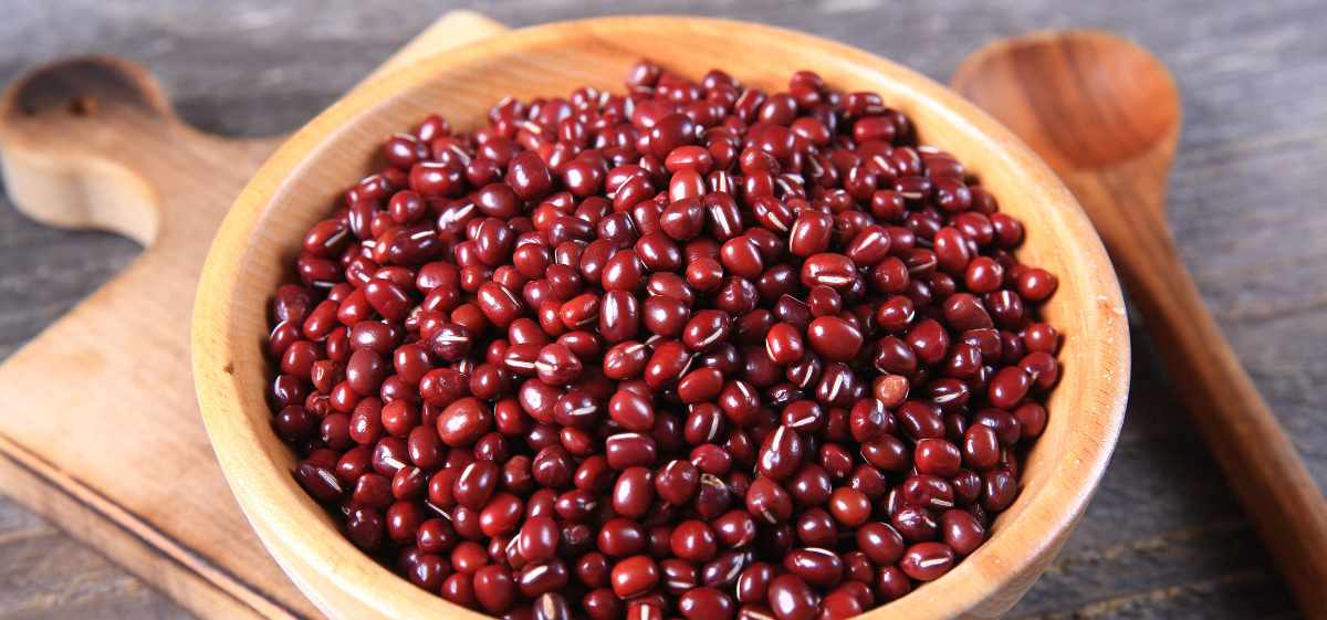 kacang merah kerap menjadi opsi sehat utama sumber protein rendah lemak bagi vegetarian