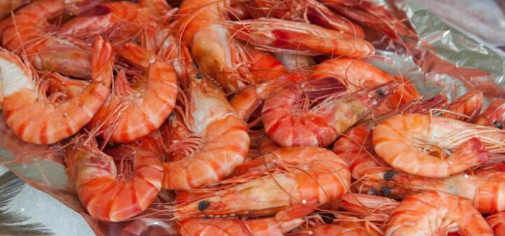 7 Manfaat Udang Untuk Kesehatan Tubuh Dan Efek Sampingnya | Blog Rey