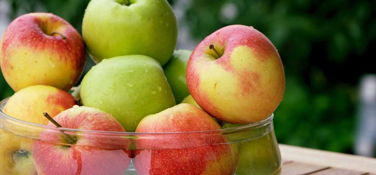 Buah untuk penderita asam lambung selanjutnya adalah apel.  Hal ini dikarenakan apel adalah buah yang kaya akan serat sekaligus menjadi sumber kalsium, kalium, dan magnesium.