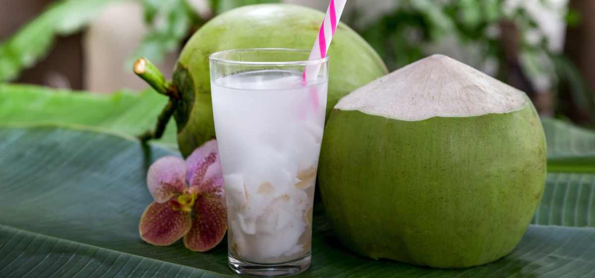 Obat Alami, 9 Manfaat Air Kelapa Muda Untuk Kesehatan | Blog Rey