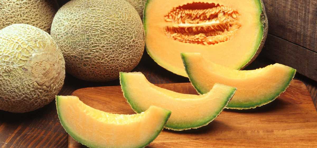 melon juga termasuk buah khas dalam puasa ramadan