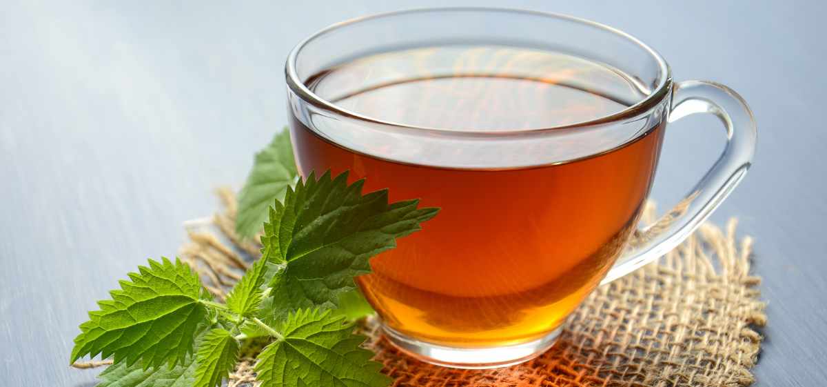 cobalah minum teh herbal sebanyak 1-2 cangkir dalam sehari.

Akan tetapi, tidak semua teh herbal boleh dikonsumsi oleh penderita asam lambung, ya.