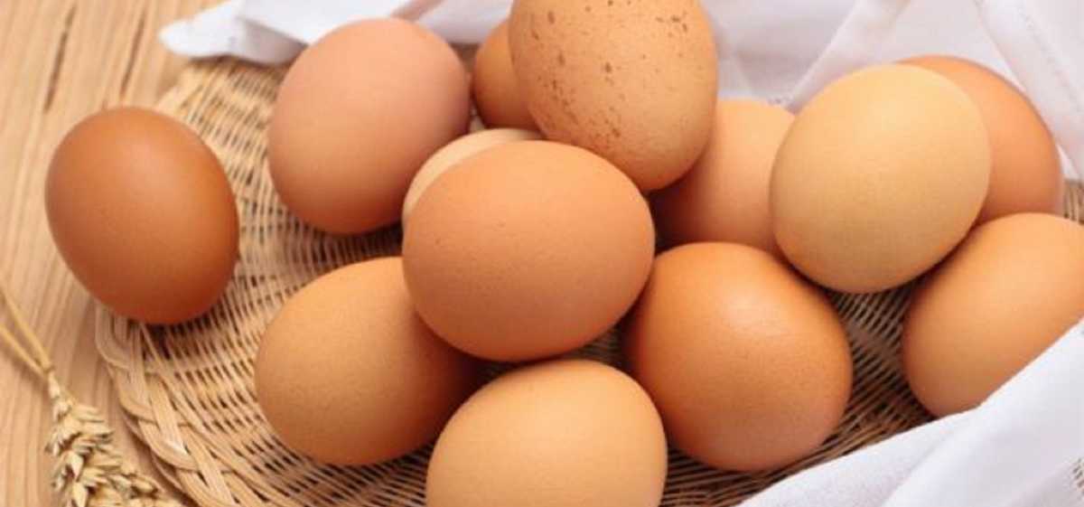 Telur juga merupakan makanan yang mengandung kalori cukup tinggi, di mana satu butir telur berukuran 50 gram dapat mengandung 74 kalori.