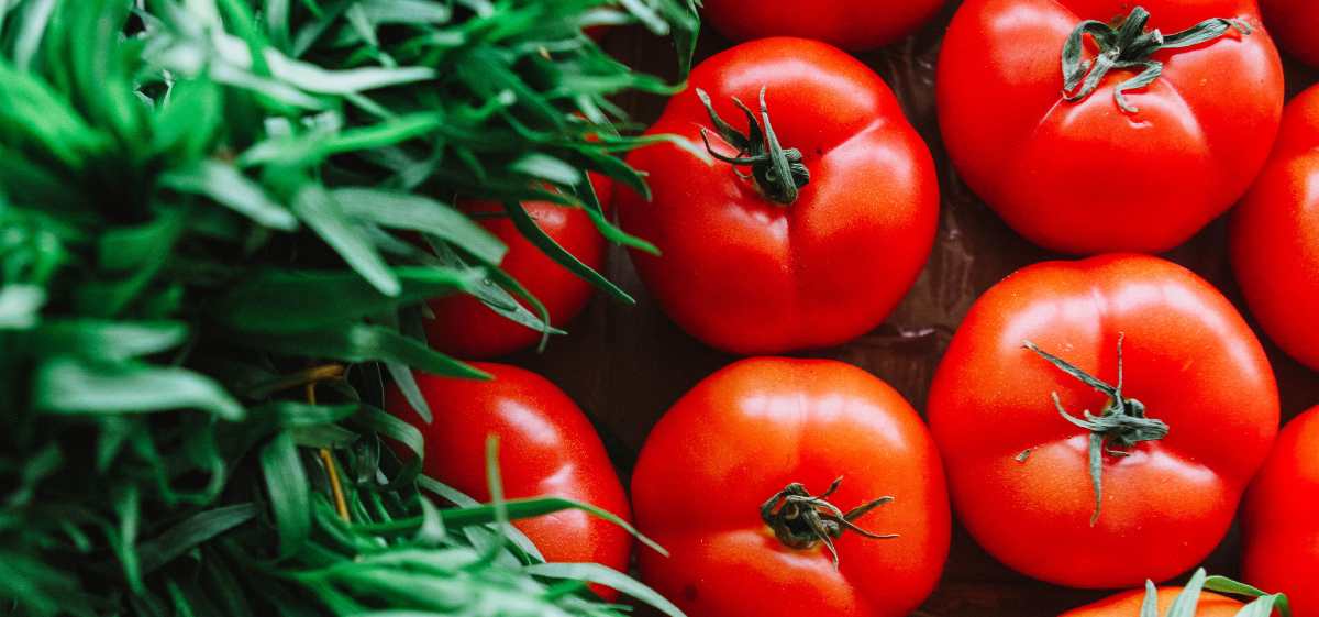 Apa efek samping makan tomat?

Memakan tomat memang aman dan baik untuk kesehatan, namun tetap harus dalam batas wajah.