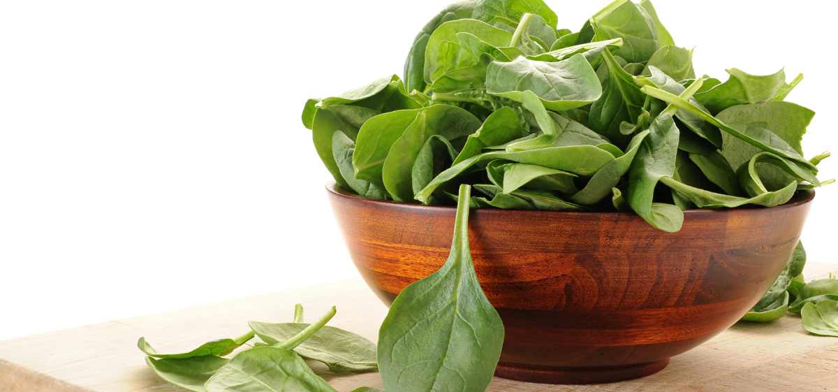 Bayam mengandung vitamin B yang mudah dicerna oleh tubuh