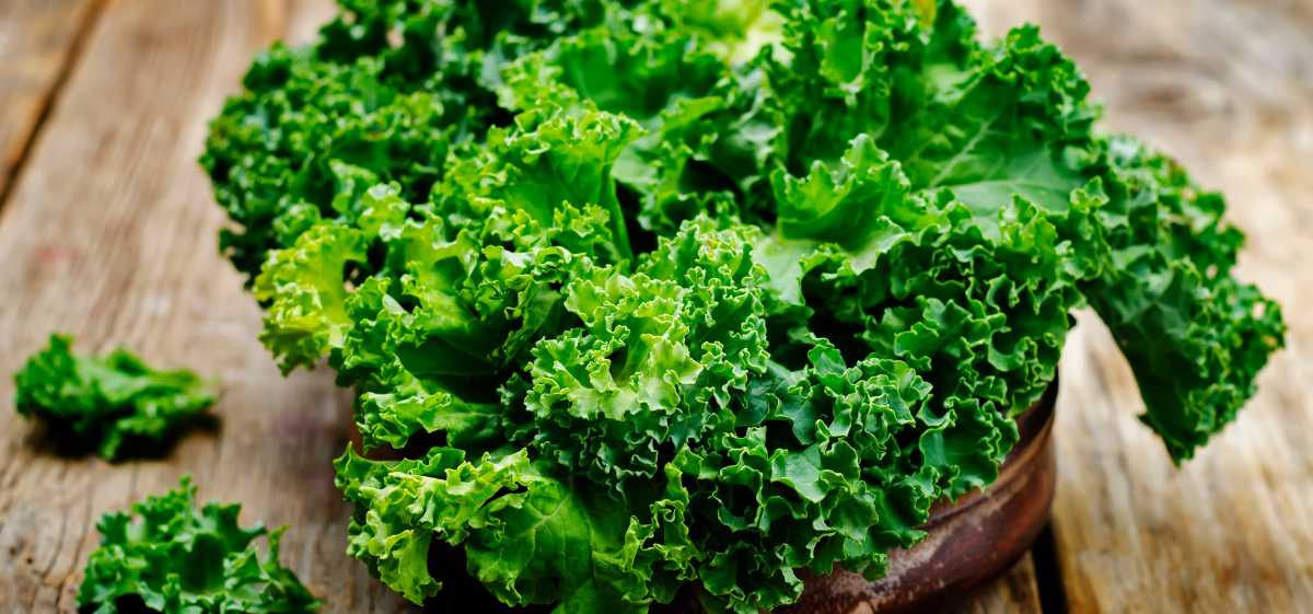 Dalam 100 gram kale mentah mengandung sekitar 93 mg vitamin C