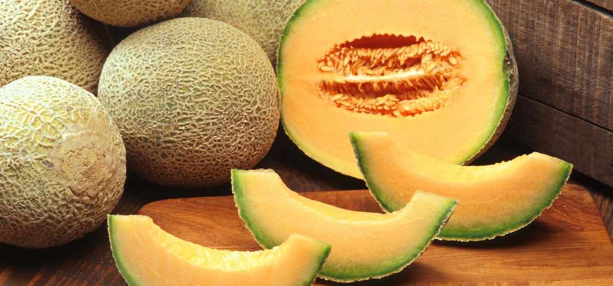 Dalam 1 potong buah melon, tubuh bisa mendapatkan asupan vitamin B sekitar 0,02 mg vitamin B1, 0,01 mg vitamin B2, 14 mg vitamin B9, 0,5 mg vitamin B6, serta 0,07 vitamin B5.