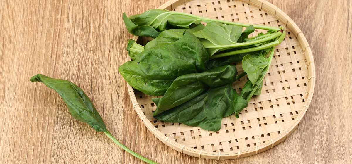 Bayam Bayam merupakan salah satu sayuran yang kaya akan vitamin E. 