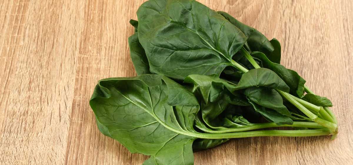Bayam merupakan sayuran hijau yang kaya akan nutrisi dan sangat rendah kalori, serta mengandung vitamin D.