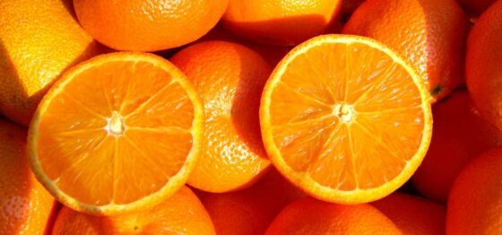 Berapa Kandungan Vitamin C Pada Jeruk? Yuk, Cari Tahu! | Blog Rey