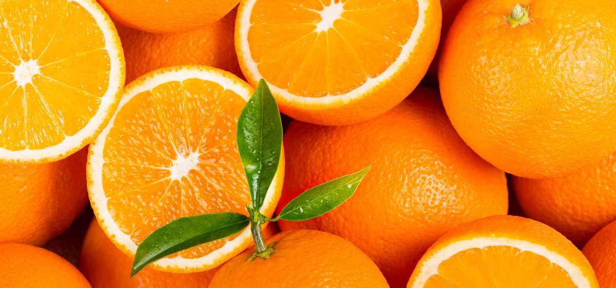 Berapa Kandungan Vitamin C pada Jeruk? Kandungan vitamin C pada jeruk dapat bervariasi tergantung pada jenis jeruk dan ukuran buahnya.