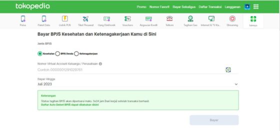 Mudah Ini Cara Cek Tagihan BPJS Kesehatan Online Terlengkap Blog Rey