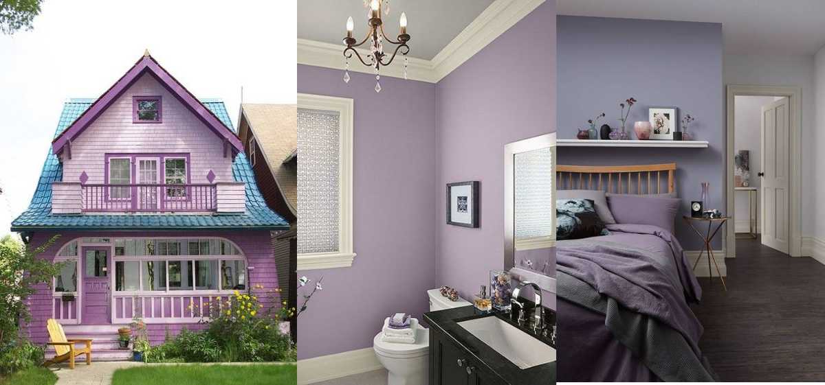 warna cat rumah yang sejuk dan nyaman berikutnya adalah lavender