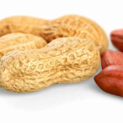 Apakah Makan Kacang Menyebabkan Batuk? Ini Penjelasannya