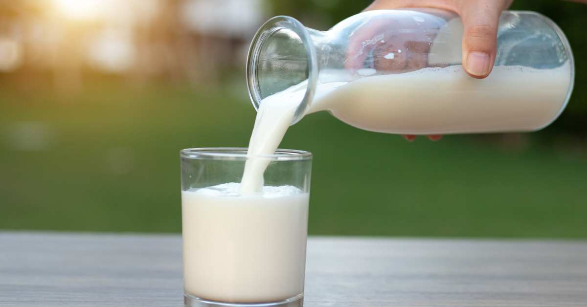 Susu bisa diminum saat batuk karena susu bukan penyebab batuk.