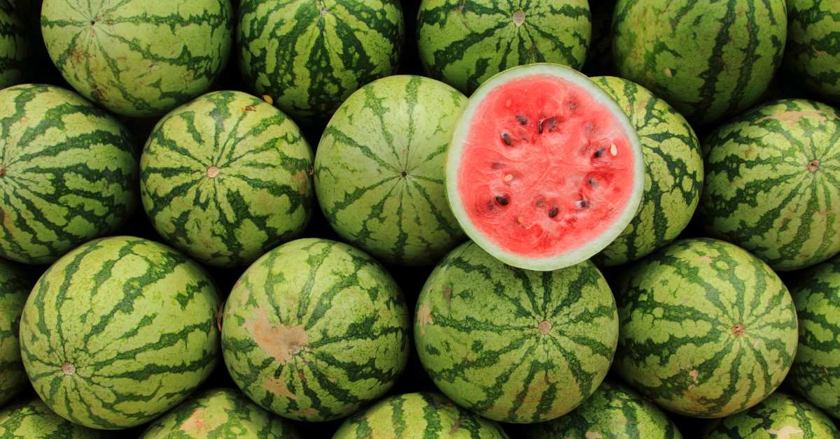 Semangka bikin batuk karena kandungan asam nitrat yang bisa memicu batuk.