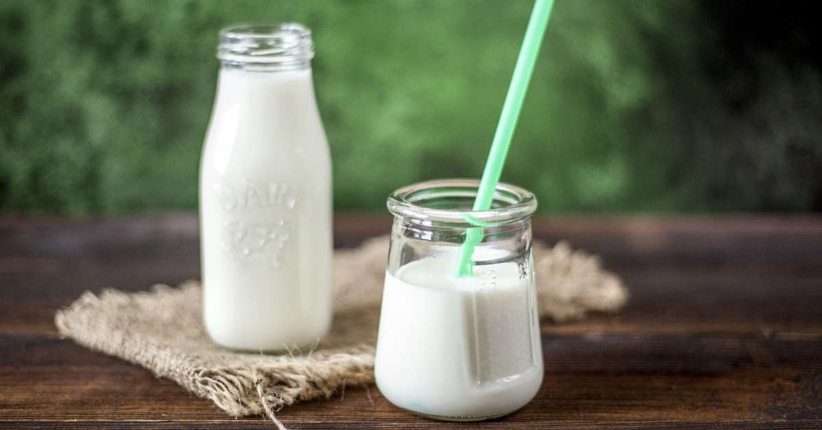 Susu boleh diminum saat batuk meskipun banyak anggapan bahwa susu menyebabkan batuk.