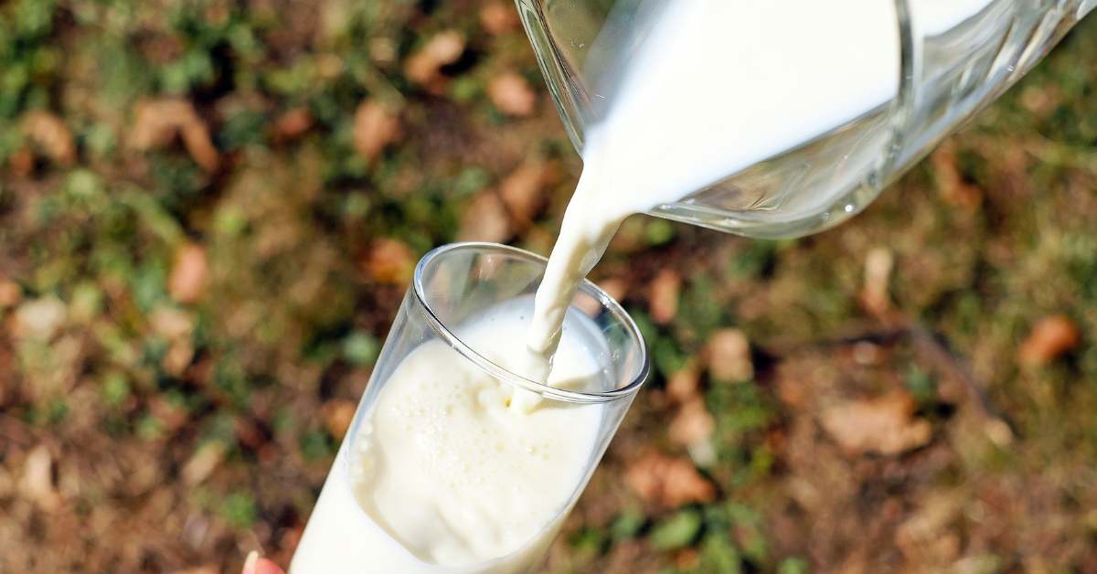 Minum susu saat batuk kering tidak masalah. Setelah minum susu, memang terasa lendir akan bertambah, tetapi itu bukan lendir karena batuk.