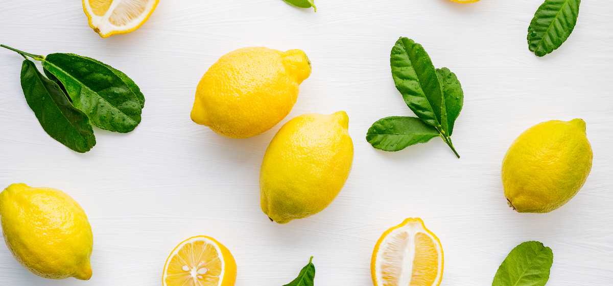 Jeruk lemon merupakan salah satu buah yang boleh dimakan saat batuk.