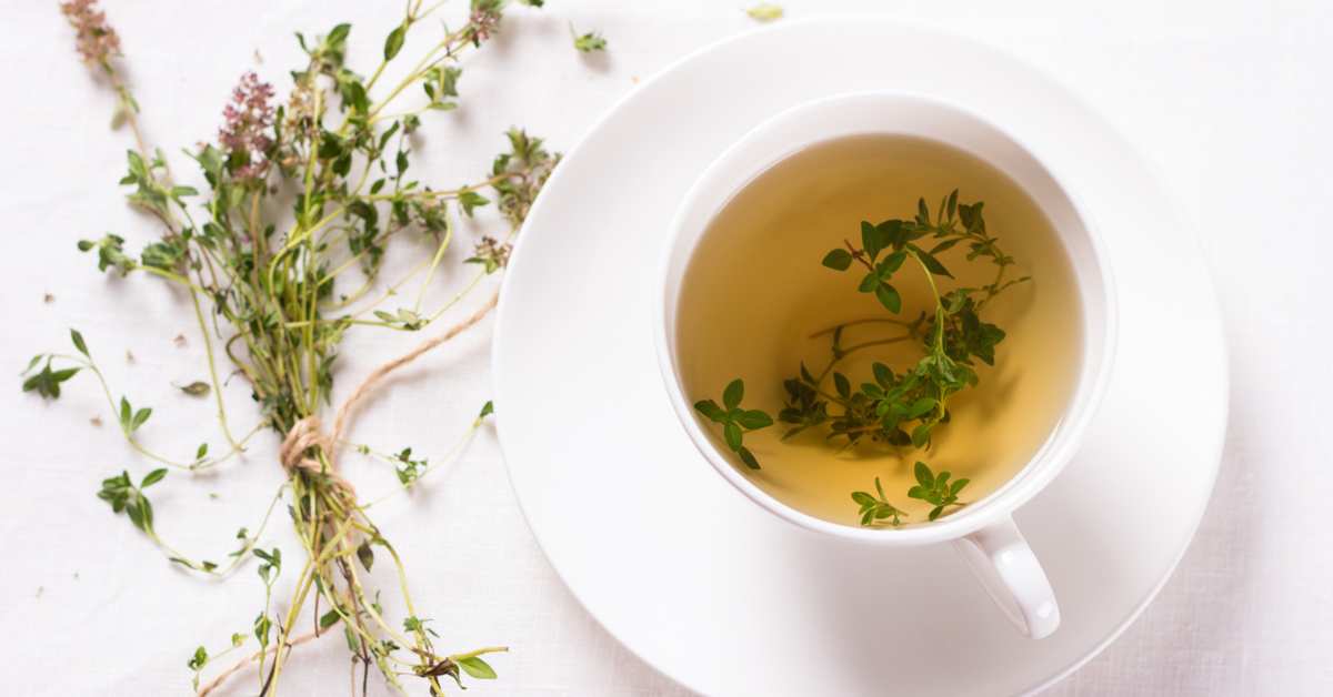 Teh Thyme memiliki kandungan yang baik sehingga cocok untuk kamu minum teh saat batuk.