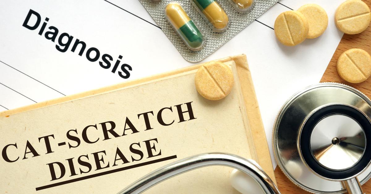 Benjolan di leher bisa disebabkan oleh infeksi cakaran atau gigitan kucing.