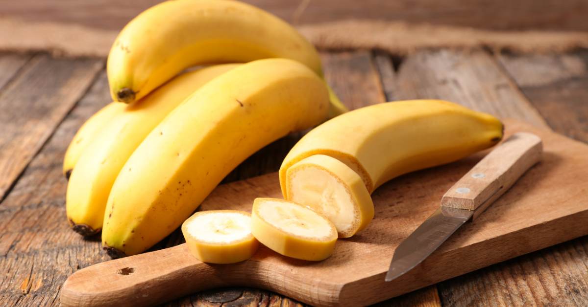 Pisang tidak menyebabkan batuk karena sampai saat ini tidak ada penelitian yang menyebutkan demikian.