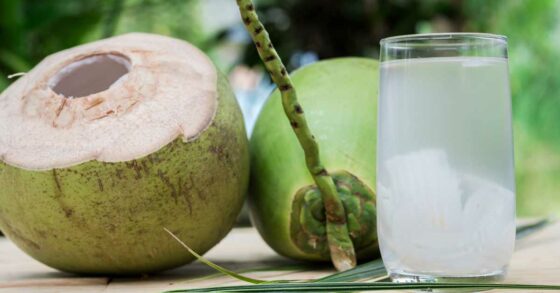 Apa Manfaat Air Kelapa untuk Batuk? Ini Cara Benar Mengonsumsinya!