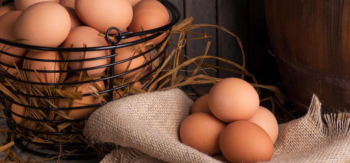 Bolehkah Makan Telur saat Batuk?

Ya, boleh makan telur saat batuk karena bisa bermanfaat untuk tubuh, asalkan tidak ada alergi dan dimasak dengan benar.