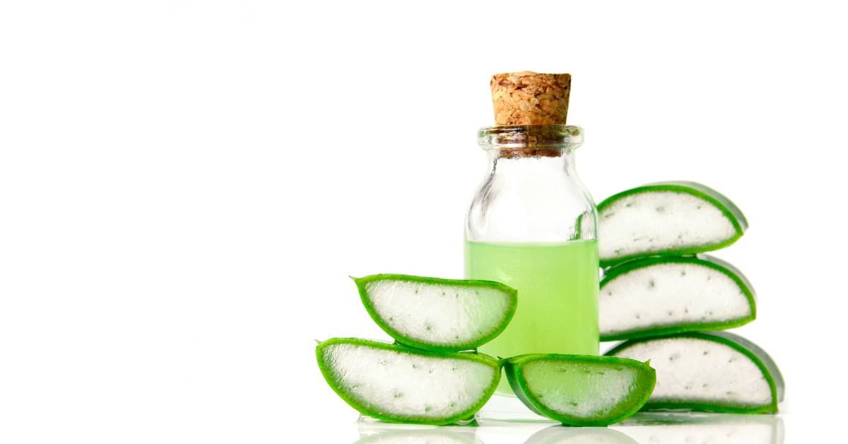 Efek samping lidah buaya untuk rambut salah satunya alergi atau muncul kemerahan. Untuk itu, kamu perlu berhati-hati.