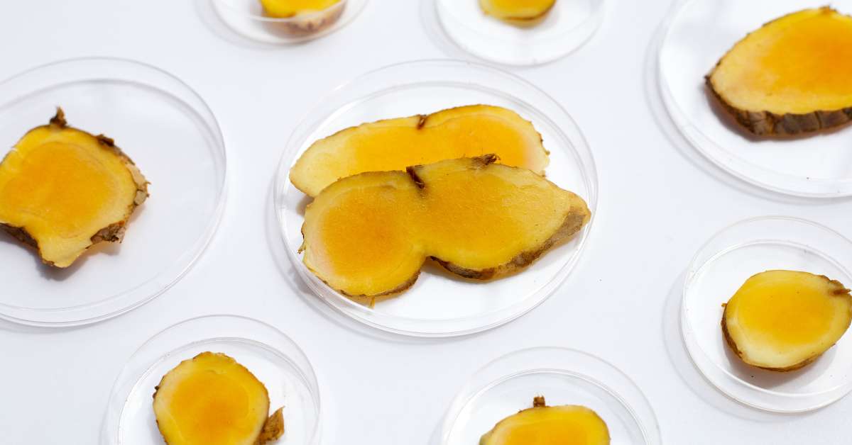 Cara mengonsumsi jahe merah bisa dengan direbus.