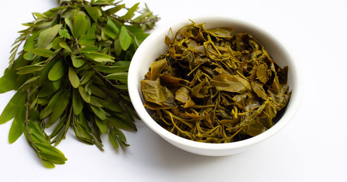 Efek samping teh jati cina adalah diare parah, dehidrasi, hingga ketergantungan. Kamu perlu berhati-hati saat mengonsumsi teh daun jati cina.