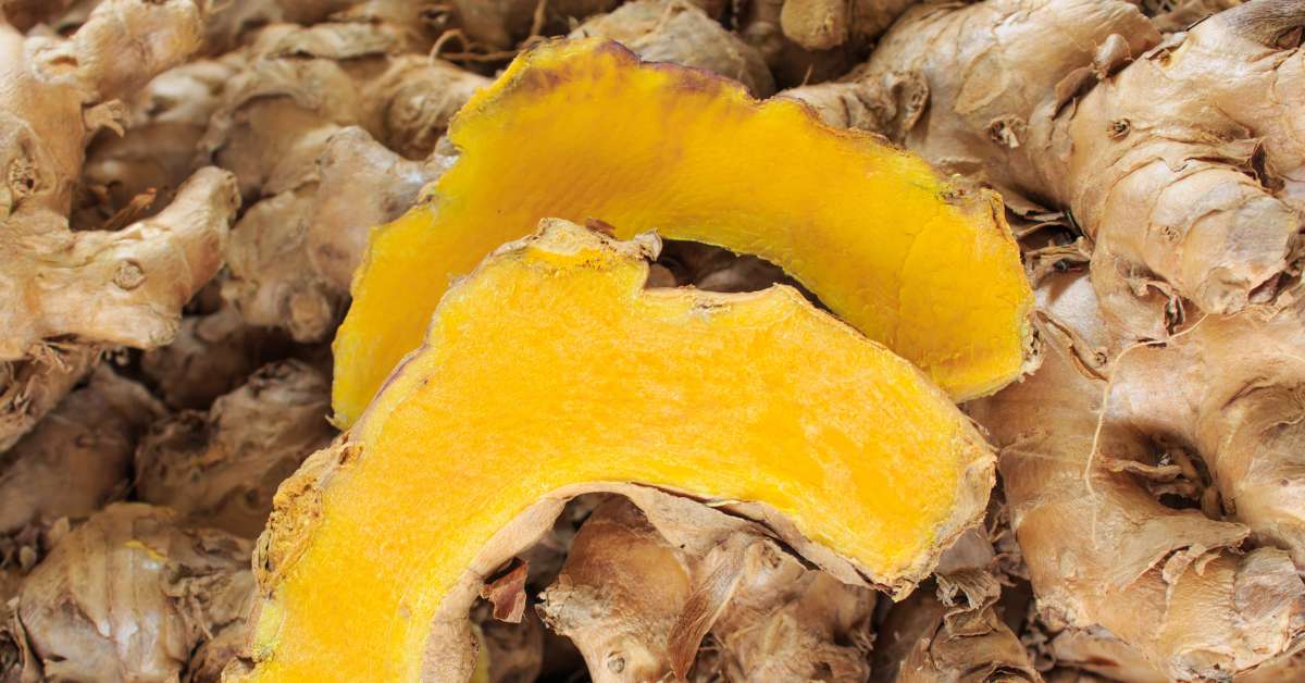 Kandungan jahe merah antara lain zat besi, serat, minyak atsiri.