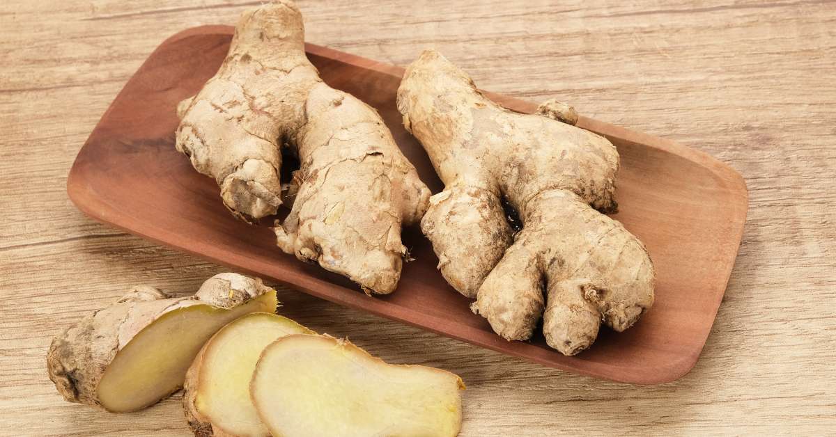 Manfaat jahe merah bagi kesehatan yaitu menurunkan kolestrol, anti penuaan, meredakan nyeri menstruasi.