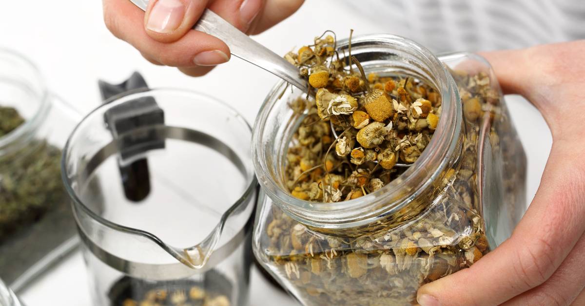 Salah satu cara untuk menghilangkan cacar air dengan cepat yaitu mengompres kulit dengan teh chamomile.