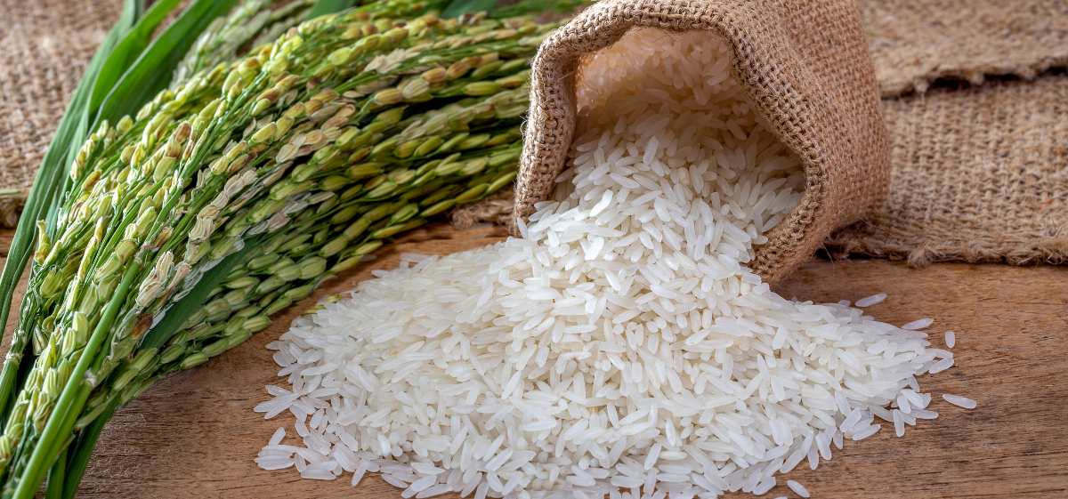 Manfaat Masker Beras untuk Kulit mencegah penuaan dini