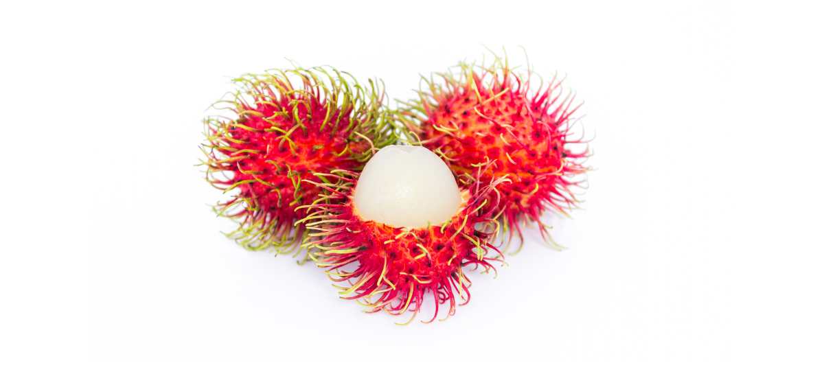 Kandungan Nutrisi Buah Rambutan

Selain memiliki rasa yang manis dan enak, buah rambutan juga kaya akan nutrisi yang baik untuk kesehatan tubuh.