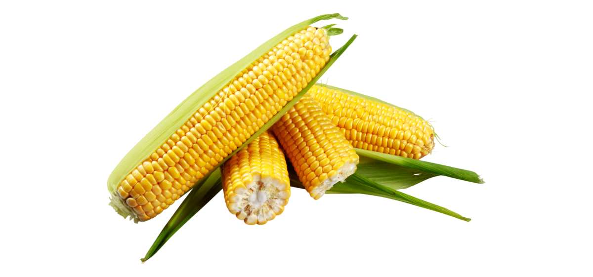 Manfaat jagung selanjutnya yaitu membantu memelihara kesehatan kulit.