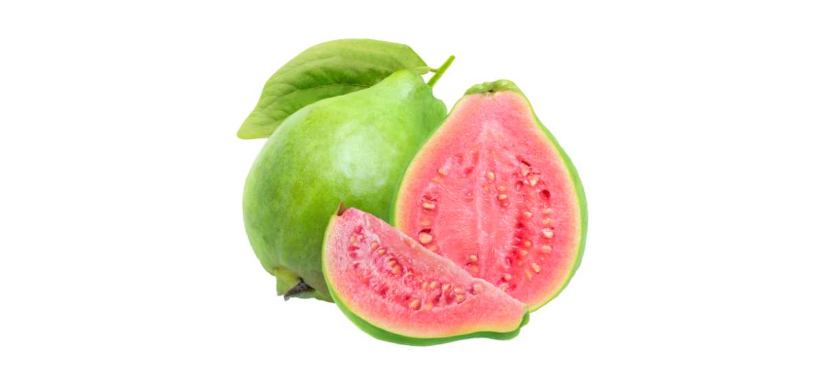 jambu biji merupakan Makanan untuk Menaikkan Trombosit