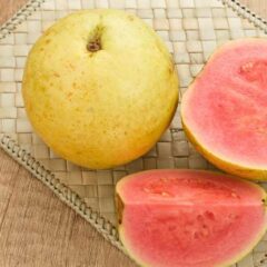 9 Manfaat jambu Biji untuk Ibu Hamil, Kurangi Morning Sickness