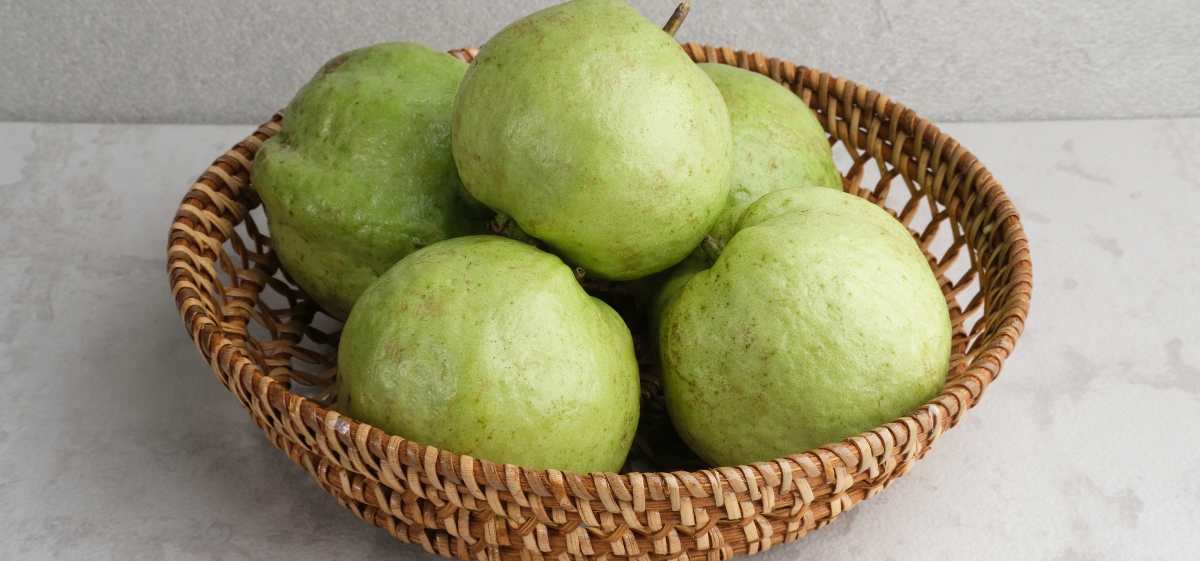 Salah satu manfaat jambu biji untuk ibu hamil yakni dapat menurunkan tekanan darah.