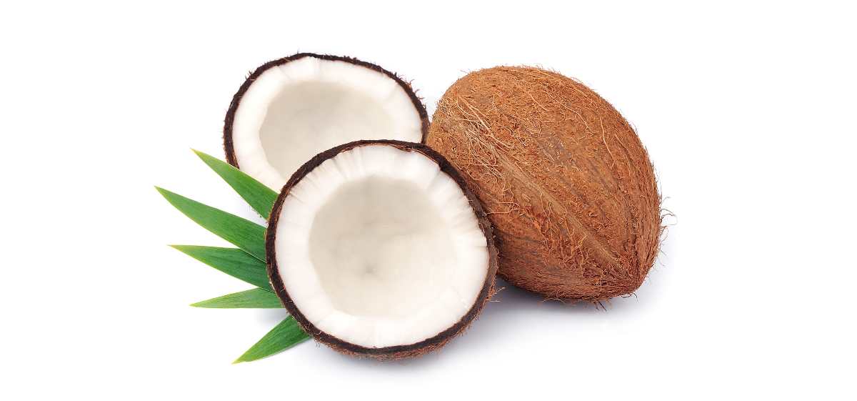 kelapa merupakan buah untuk tipes. Saat kamu menderita tipes, cobalah untuk konsumsi buah kelapa.