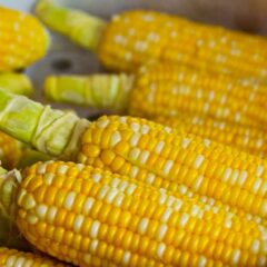 11 Manfaat Jagung Manis Rebus, Salah Satunya Baik untuk Ibu Hamil