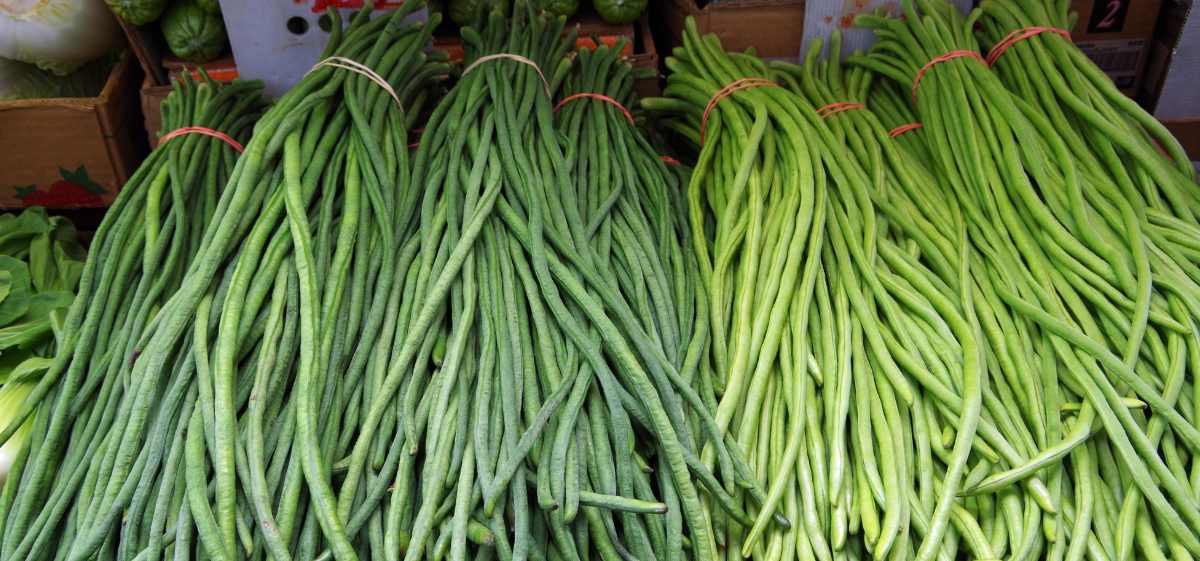 Manfaat Kacang Panjang untuk Kesehatan Pria dan Wanita