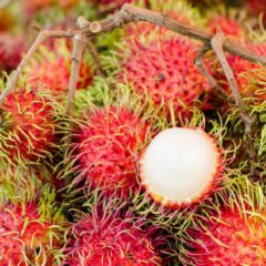 18 Manfaat Makan Rambutan untuk Kesehatan Tubuh